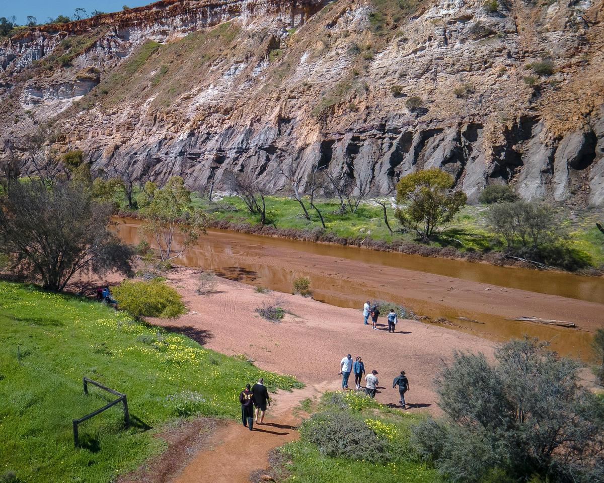 Jambinu Tours