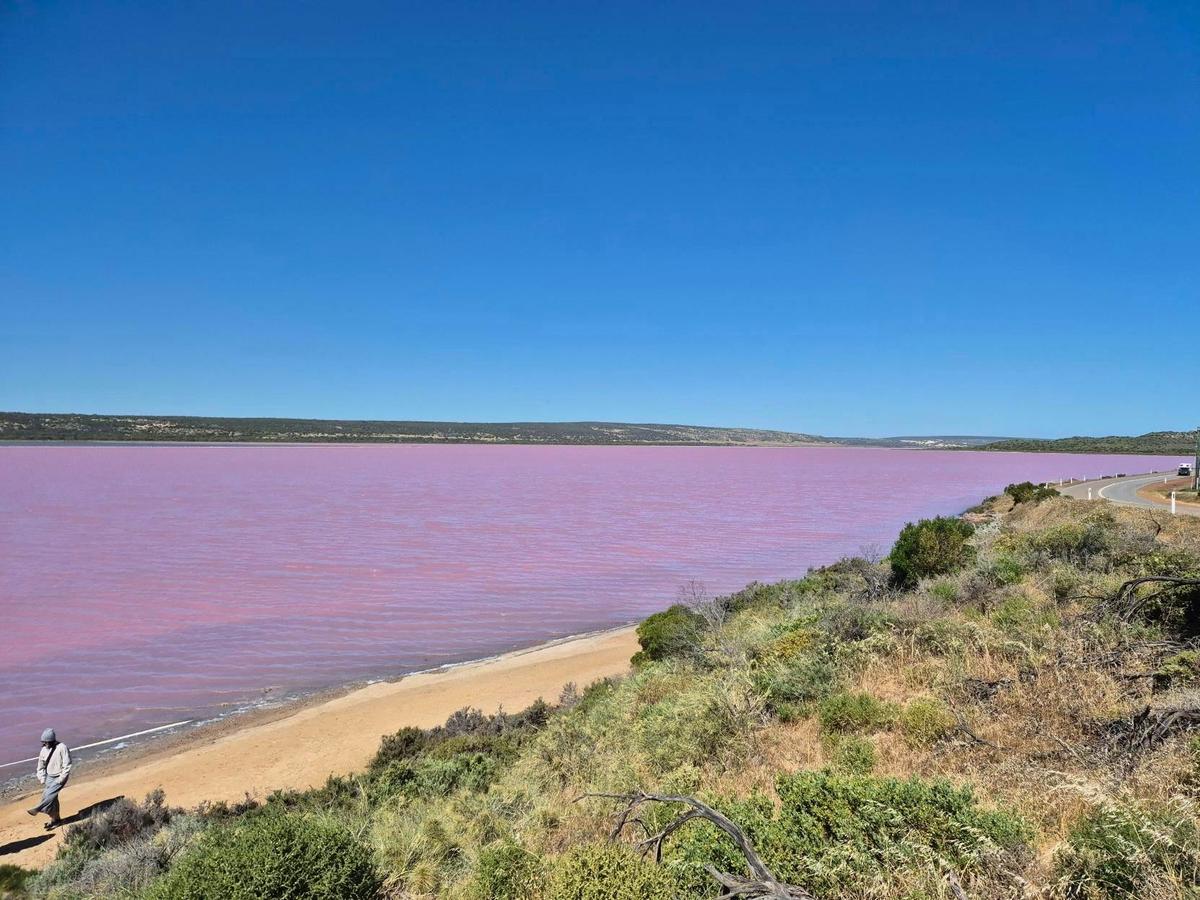 Kalbarri Skywalk and Pink Lake Tour