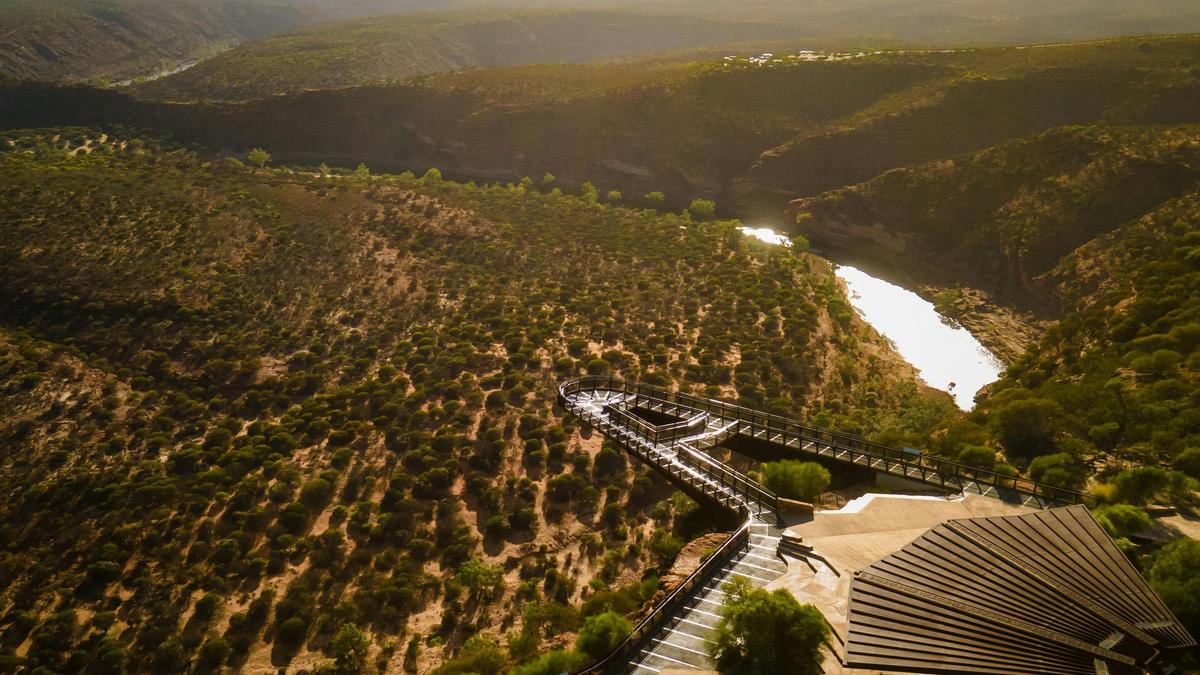 Kalbarri Skywalk and Pink Lake Tour