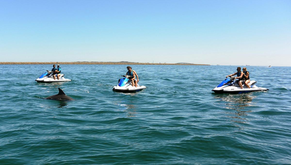Eco Tour - exploring the beautiful Cockburn sound and surroundings of Garden Island