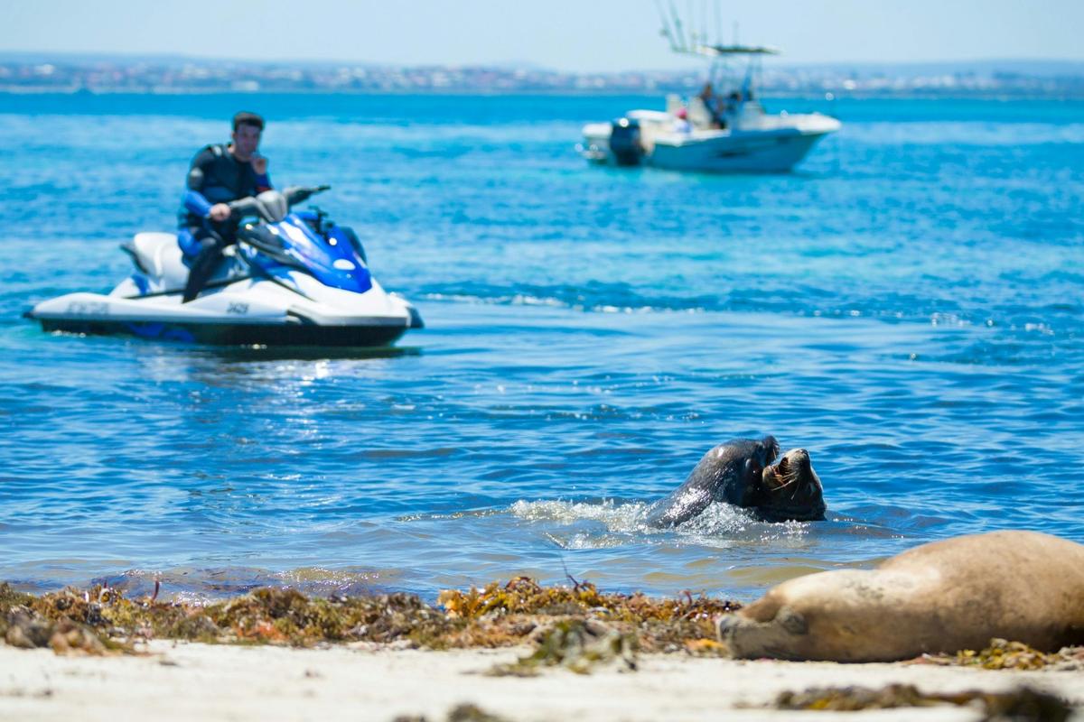 Jet Ski Blast Tour