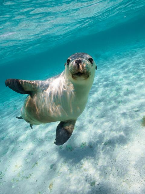 Jurien Bay Oceanic Experience