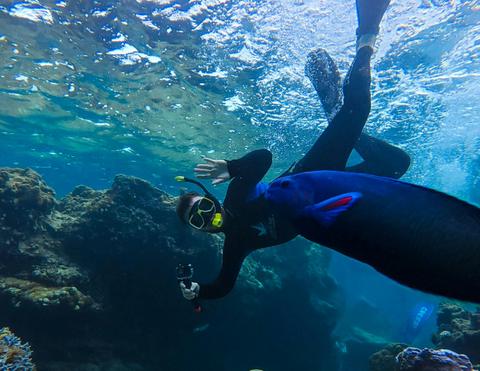 Jurien Bay Reef Snorkel Tour