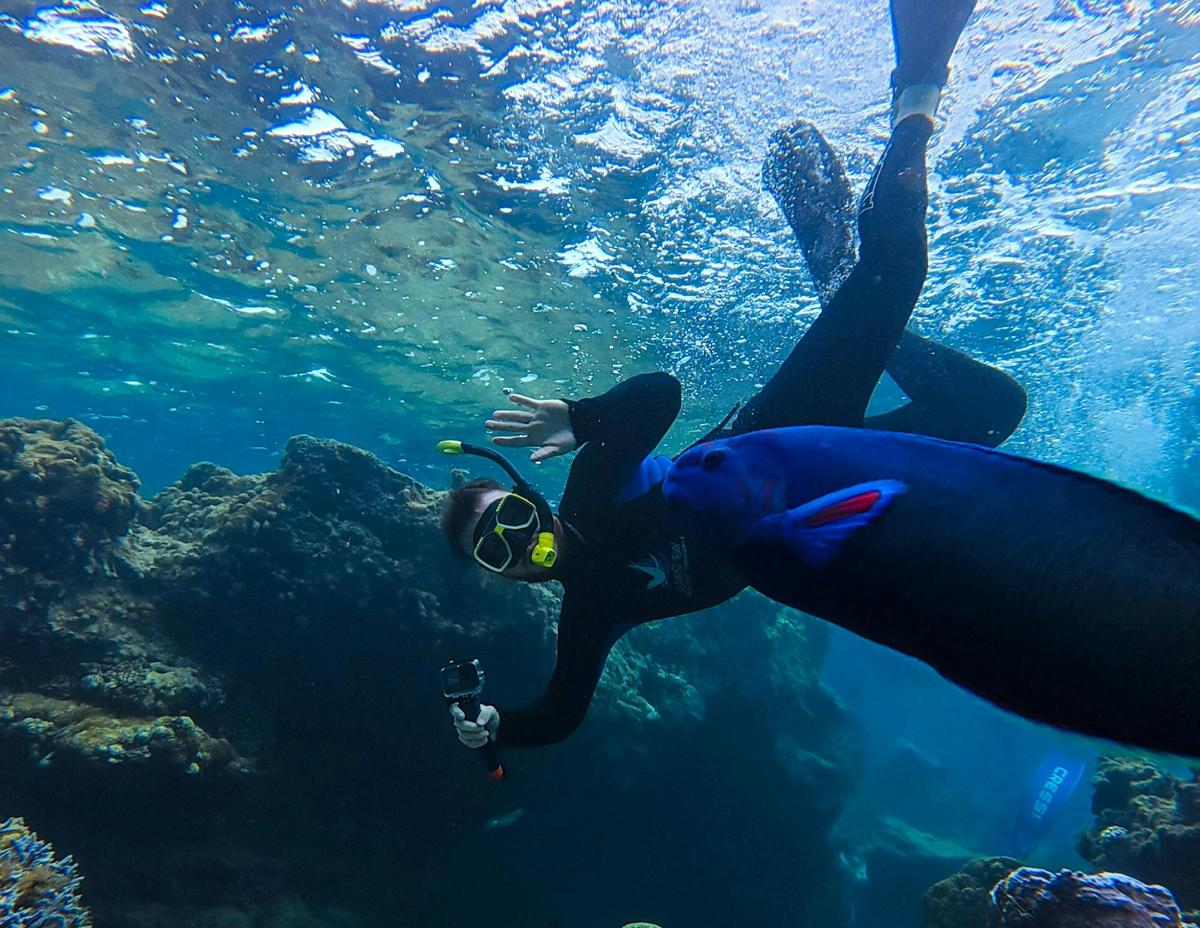 Jurien Bay Reef Snorkel Tour