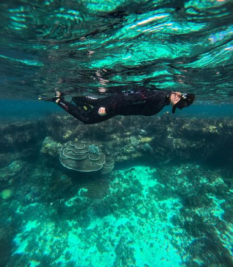 Jurien Bay Marine Park Experience
