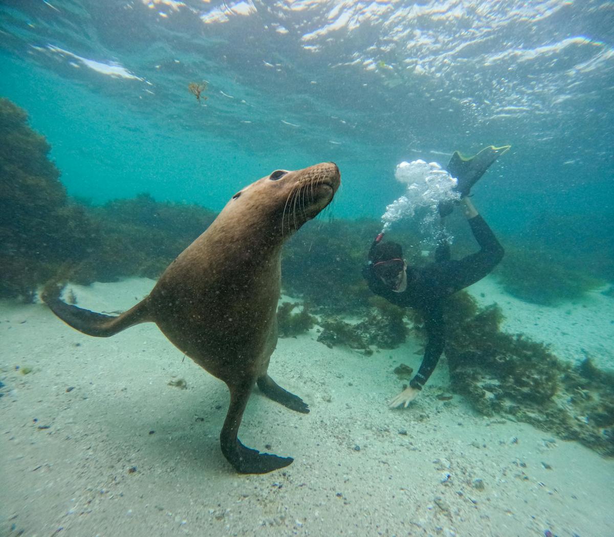 Jurien Bay Marine Park Experience