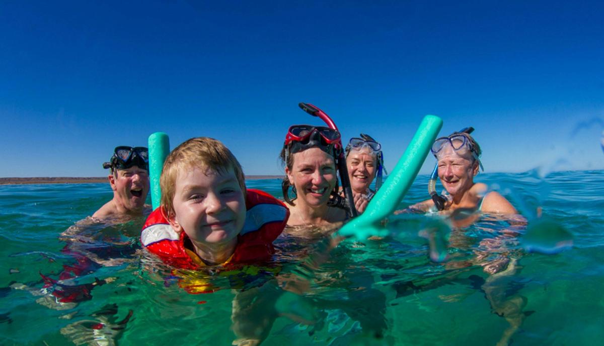 Whale Shark Snorkelling Adventure Tour