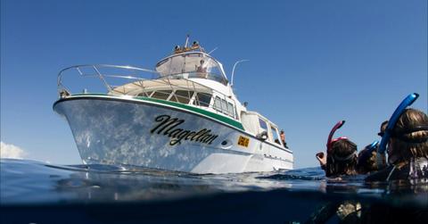 Whale Shark Snorkelling Adventure Tour