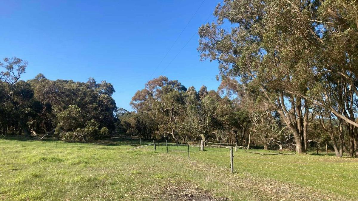Kalgan Lookout