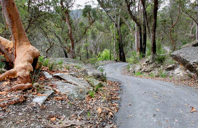 Stepping Stone Crossing to Cascades Trail