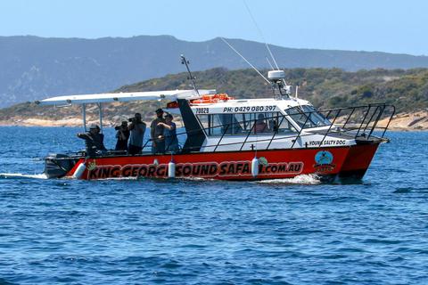 2, 3 or 4 Hour Custom Safari - Build your own tour for up to 12 people