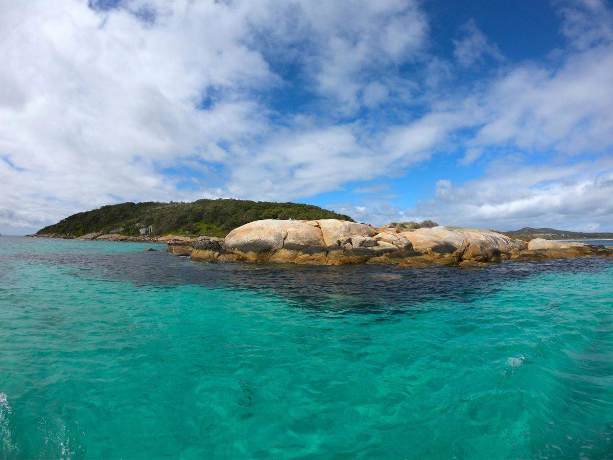 3 Hour Winter Whale Safari (May - Oct) around King George Sound