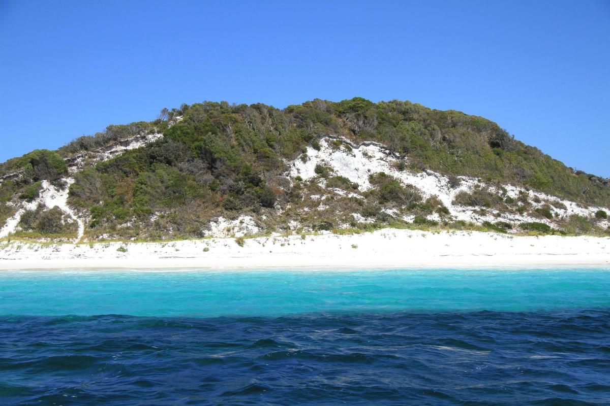 2 Hour Summer Sea Safari (Nov - Apr) around King George Sound