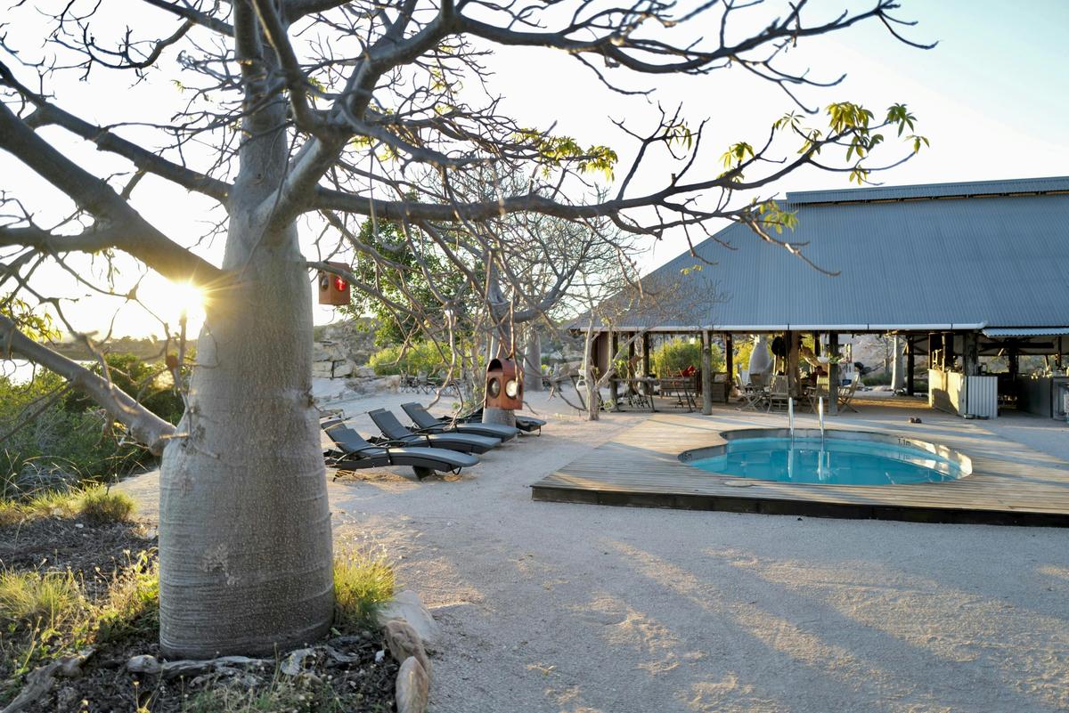 Kimberley Coastal Camp pool and boab tree at golden hour sunset.