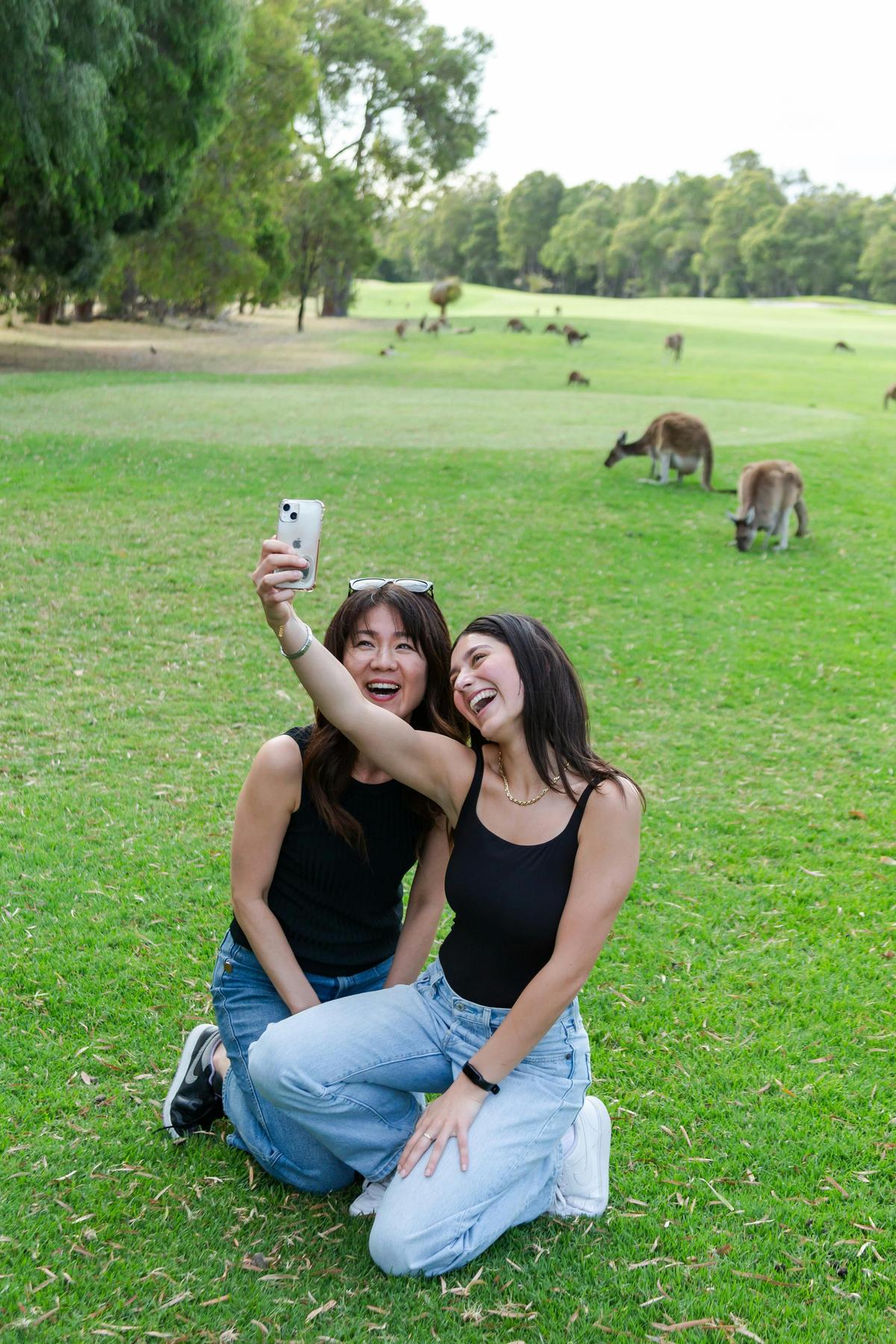 Kangaroo selfie