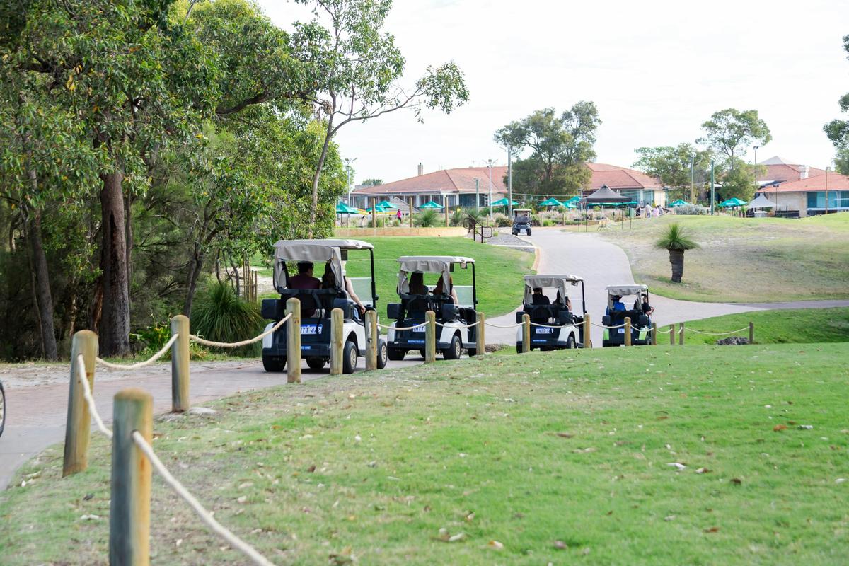 Kangaroo Safari Package