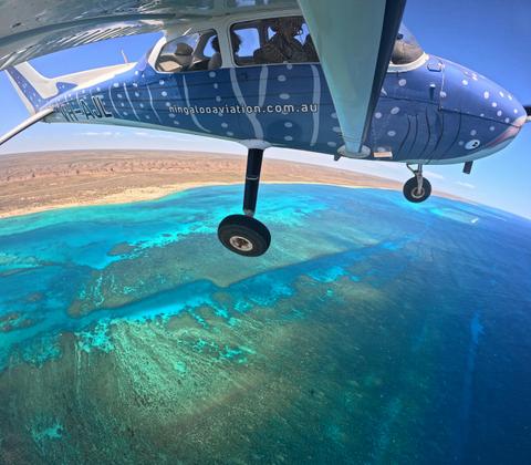 Live Ningaloo