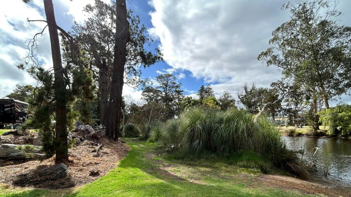 King River Palms Caravan Park