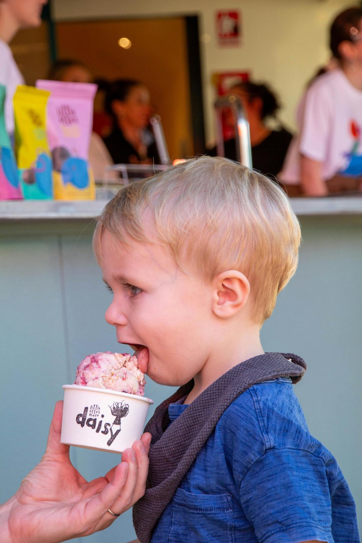 Little Otto's Big Choc Shop