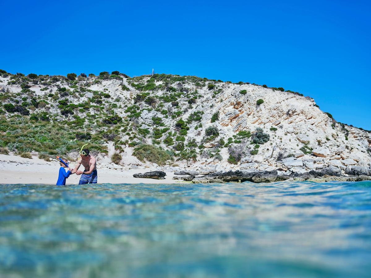 Family snorkelling at Little Armstrong Bay