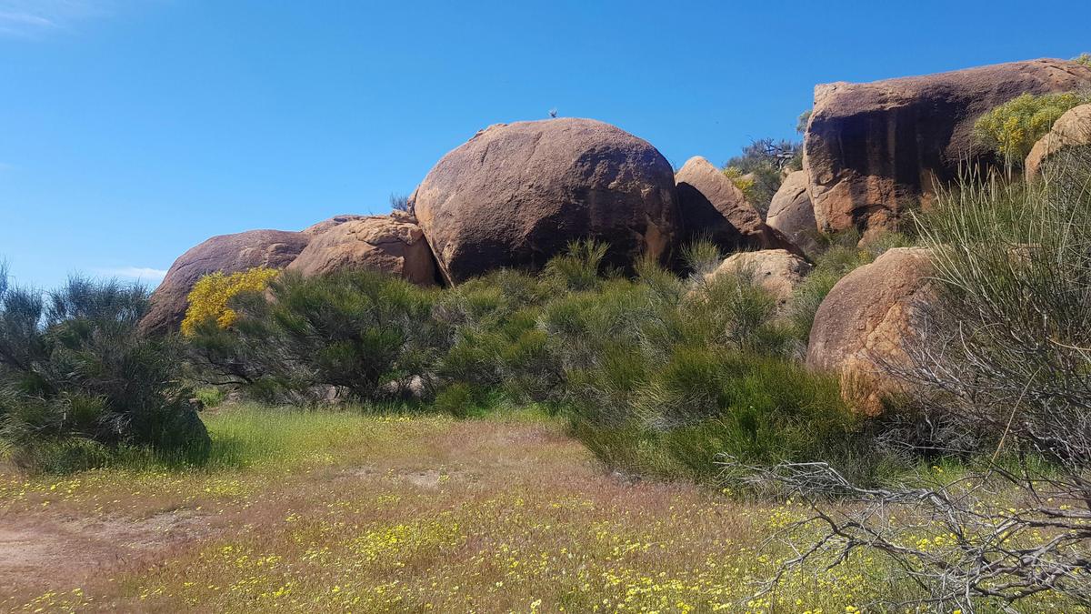 Kokerbin Rock