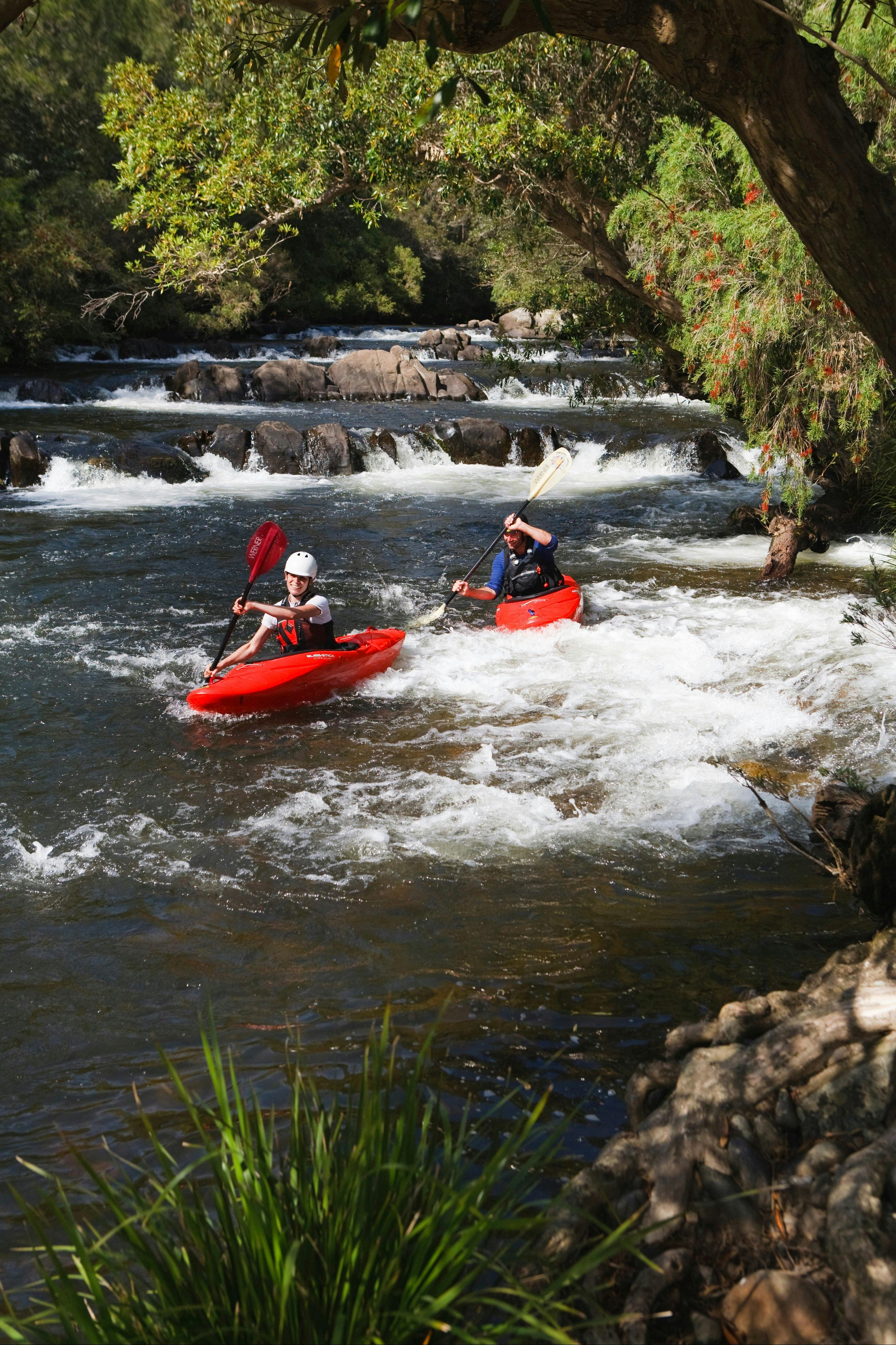 Barrington River at The Steps Rapids