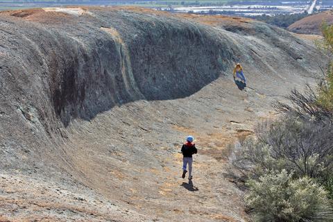 Wave Rock and Pinnacles Day Tour