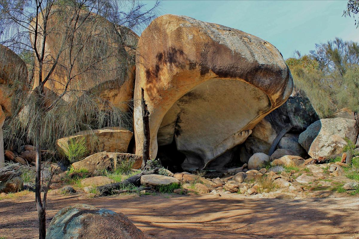 Wave Rock, Pinnacles and Rottnest Day Tour