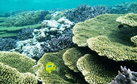 Abrolhos Islands Scenic and Snorkel Adventure Tour