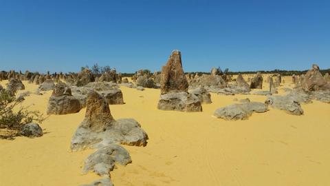 Pinnacles and Rottnest Island Day Tour