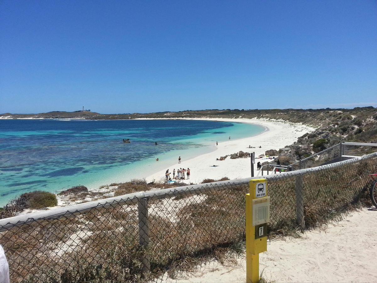 Wave Rock, Pinnacles and Rottnest Day Tour