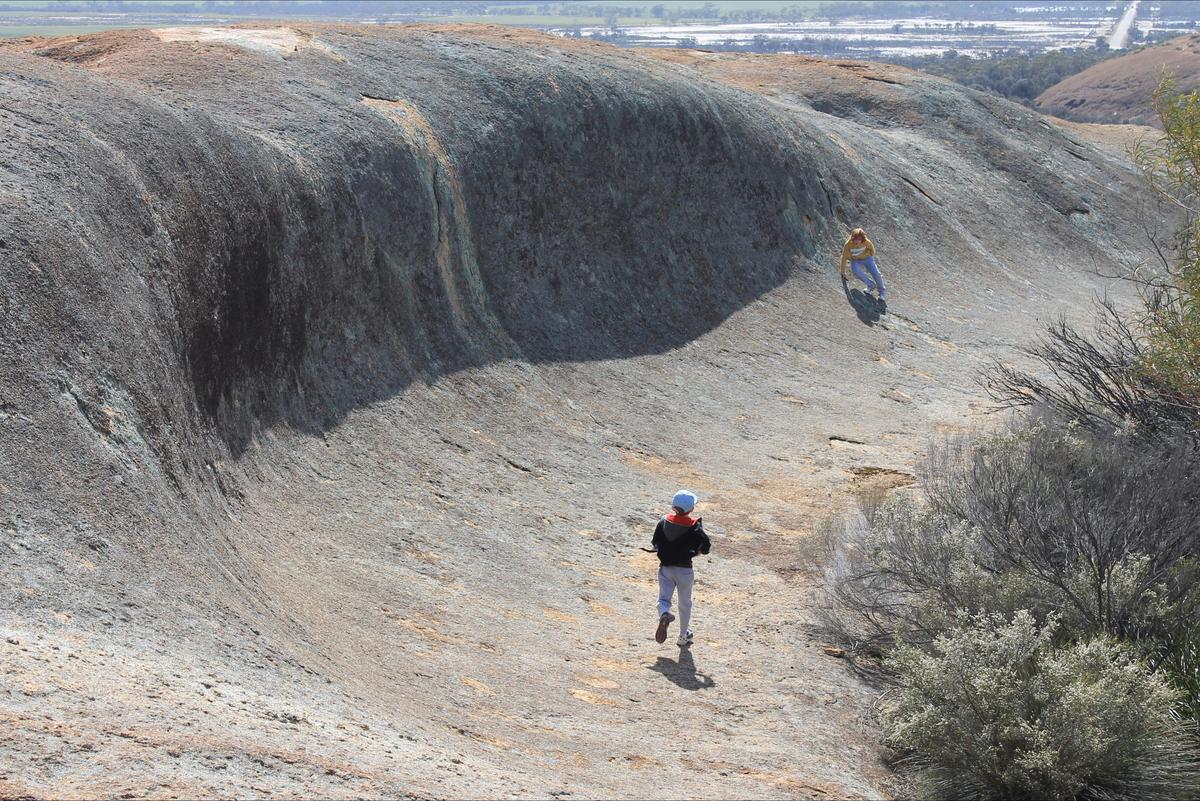 Wave Rock Half Day Tour