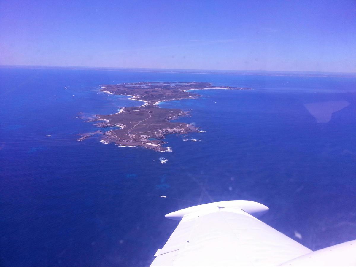 Pinnacles and Rottnest Island Day Tour