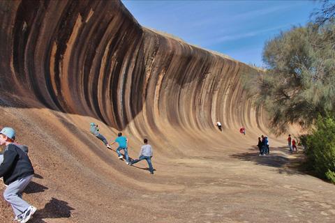 Wave Rock, Pinnacles and Rottnest Day Tour