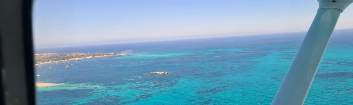 Rottnest Island - Half Day