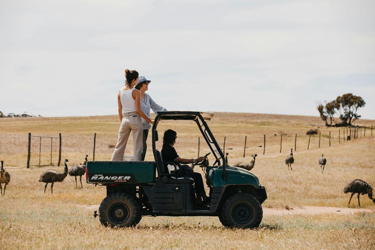 Emu Essence Farm, near Kukerin
