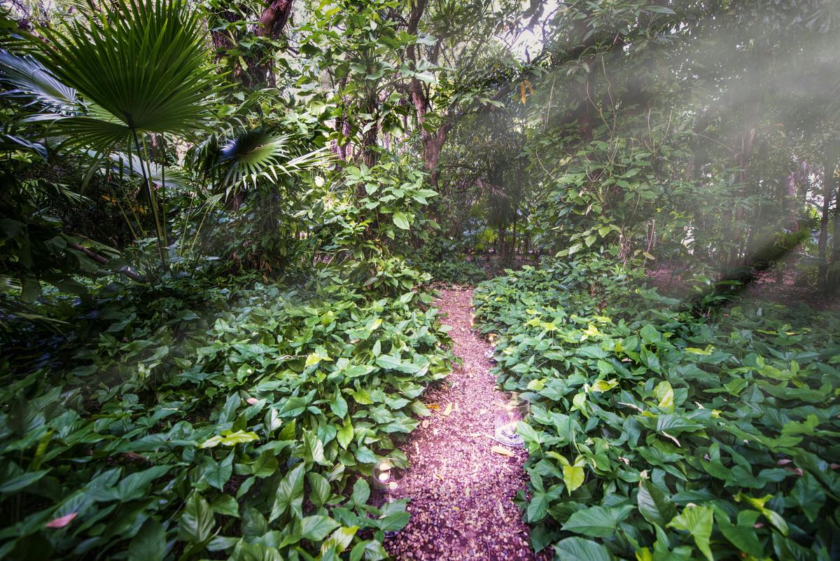 Lush tropical gardens provide a sanctuary