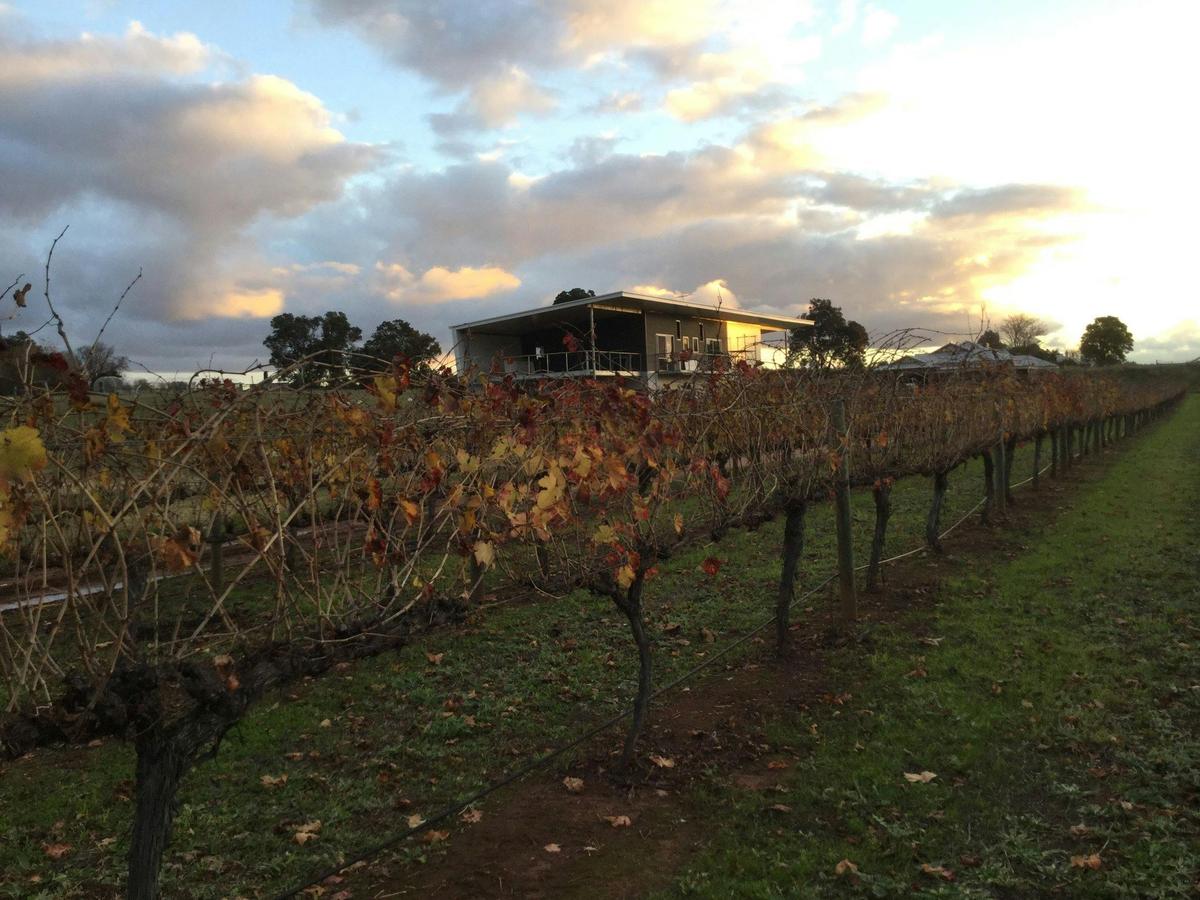 Lot 113 Wines