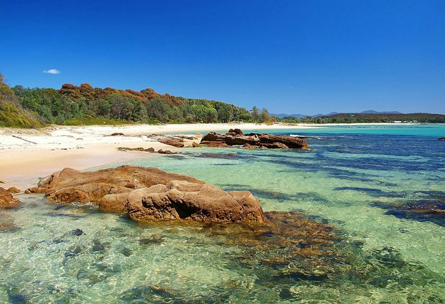 Shelly Beach Picnic Area - Moruya Heads