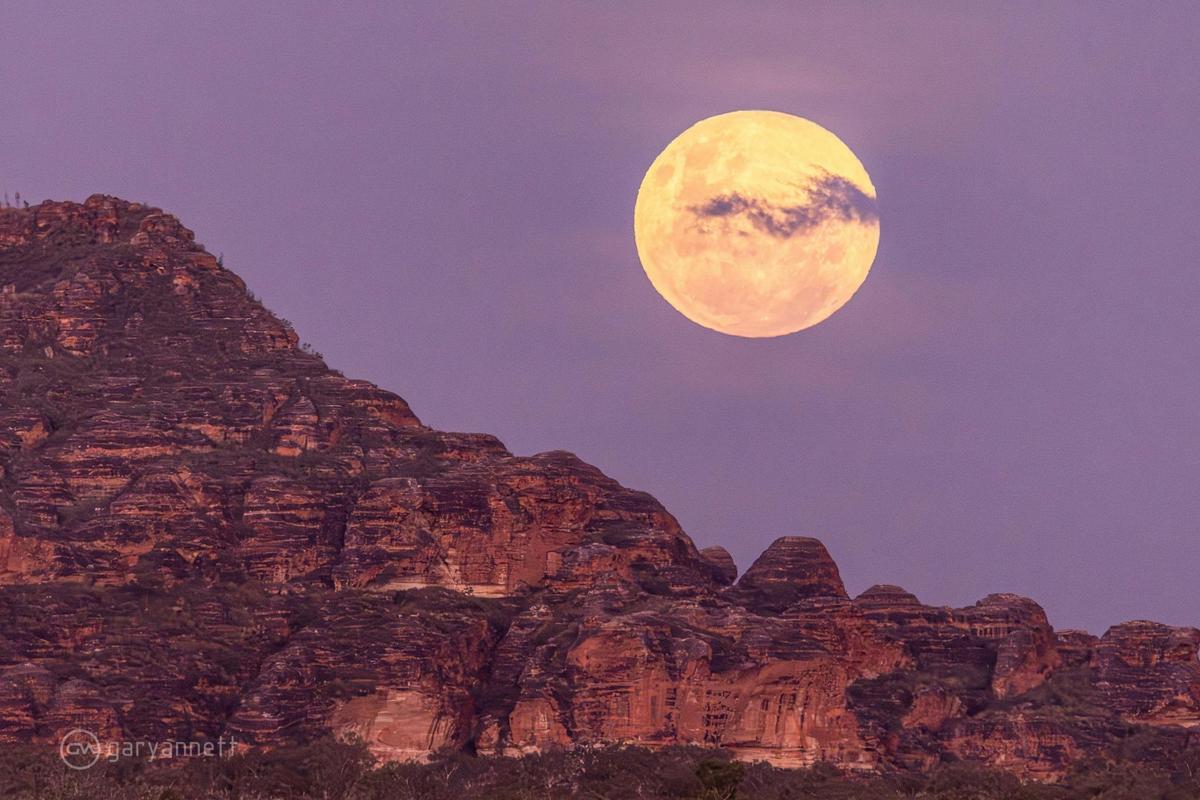 Tailor-Made Aboriginal Guided Experiences Across the Kimberley