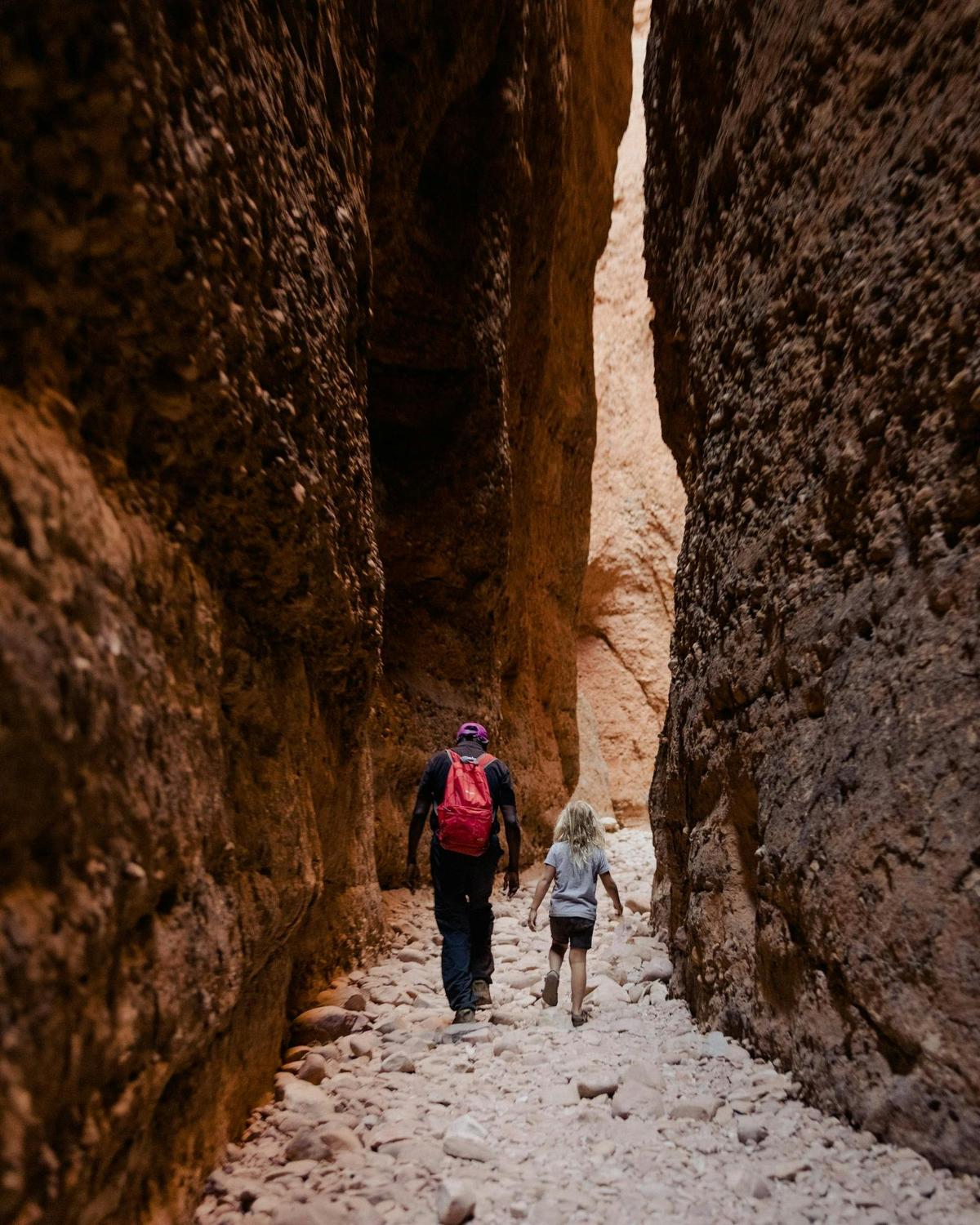 Halls Creek to Purnululu (Bungle Bungles): Day Trek+