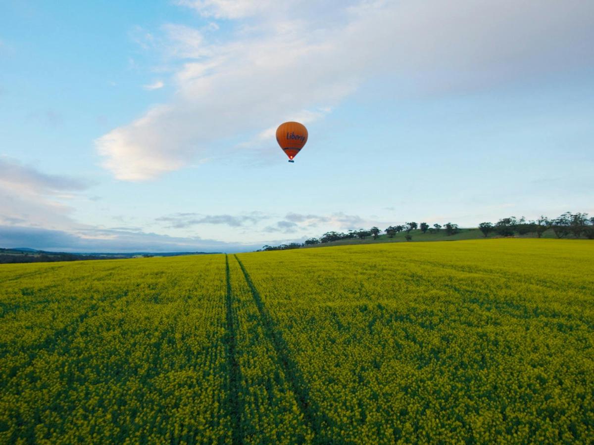 Liberty Balloon Flights over the Avon Valley, with return Perth City Transfer