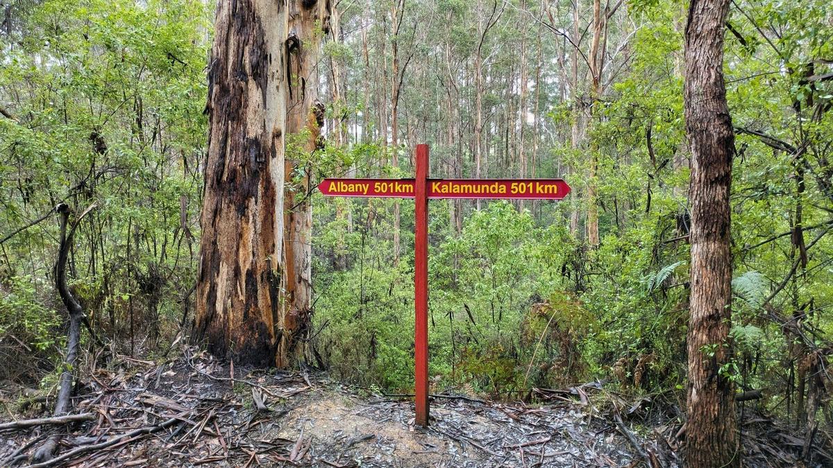 Donnelly River Teen Expedition