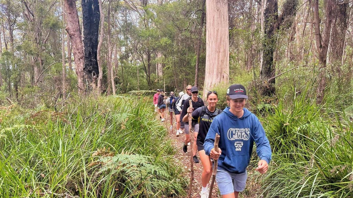 Teen Hikers: Bibbulmun Track Adventure — Valley of the Giants