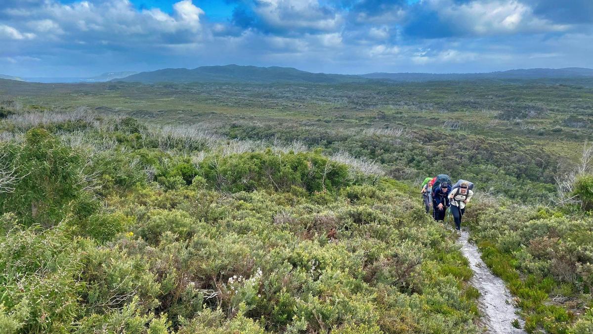 Walpole Giants Teen Hike