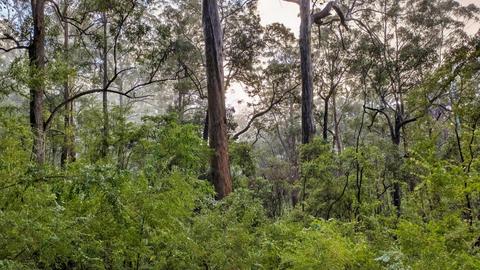 Donnelly River Teen Expedition
