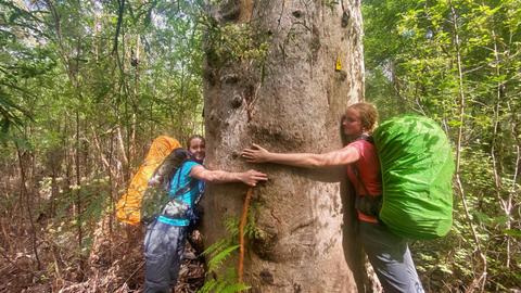 Walpole Giants Teen Hike