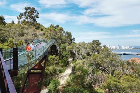 Lotterywest Federation Walkway - Kings Park