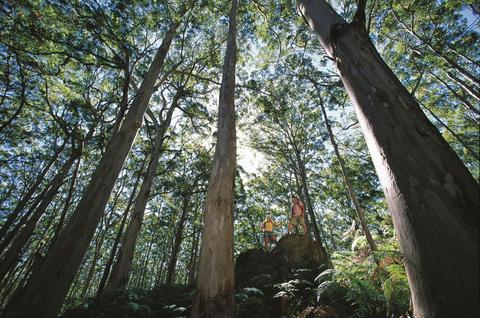 Leeuwin-Naturaliste National Park