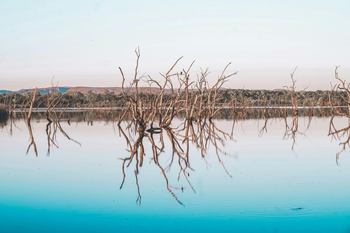 Lily Lagoon Resort Scenic